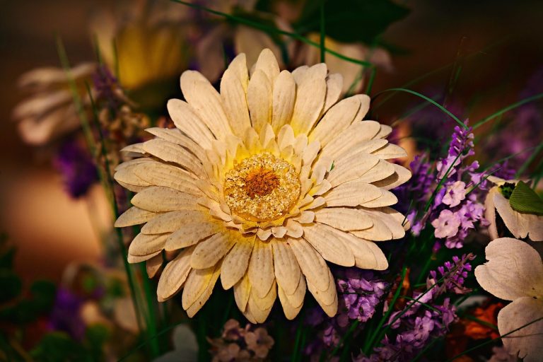 За сколько можно купить подарки