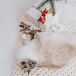 Купить подарки национальные image_622.jpg