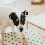 Купить подарок жене в москве image_790.jpg