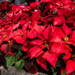 Какие подарки дарят в роддоме images422.jpg