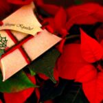 Что подарить на 1 свадьбы images547.jpg